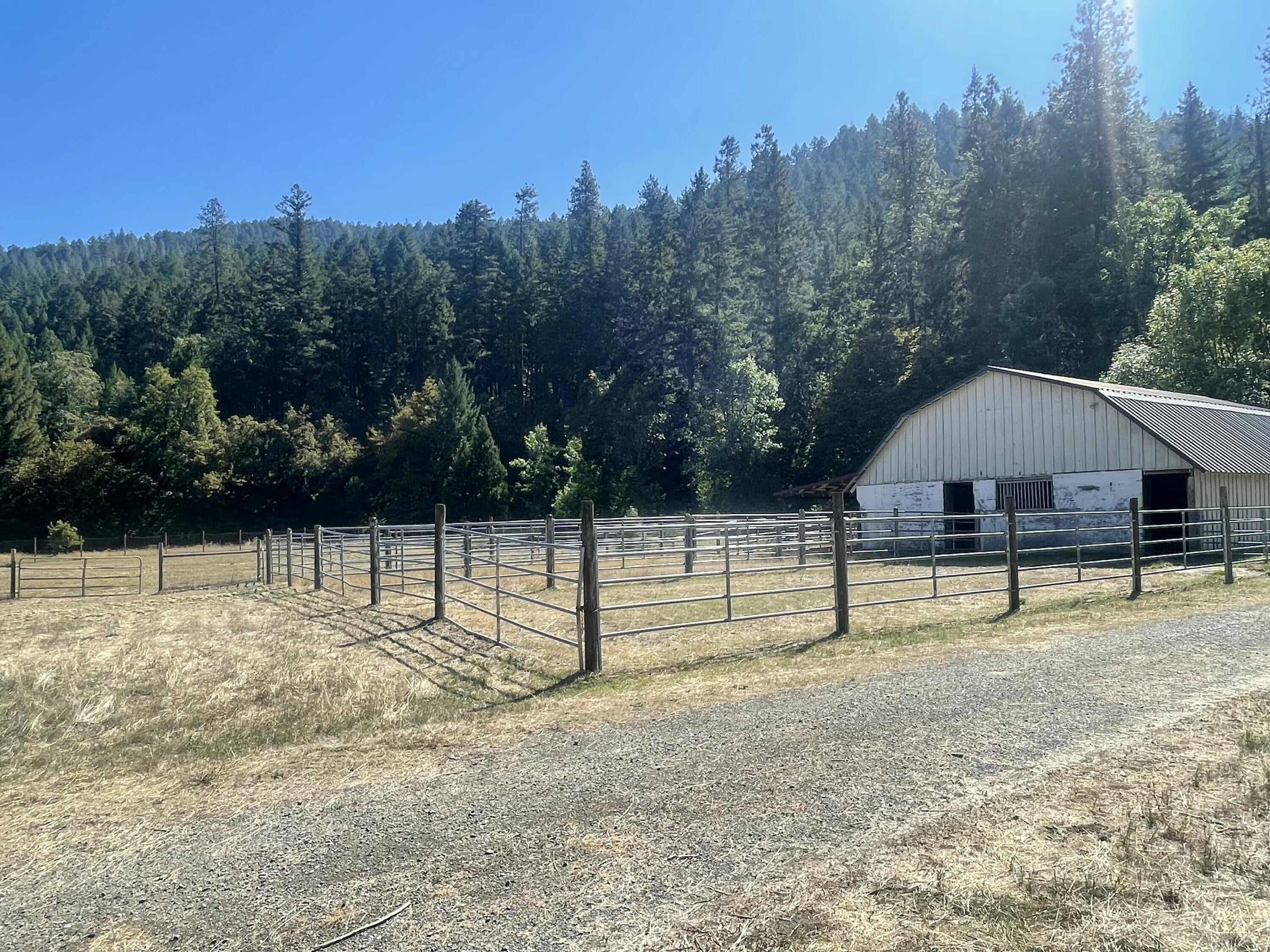 4835 Thompson Creek Road Jacksonville, OR 97530 - Photo 36 of 47 IMG_1133