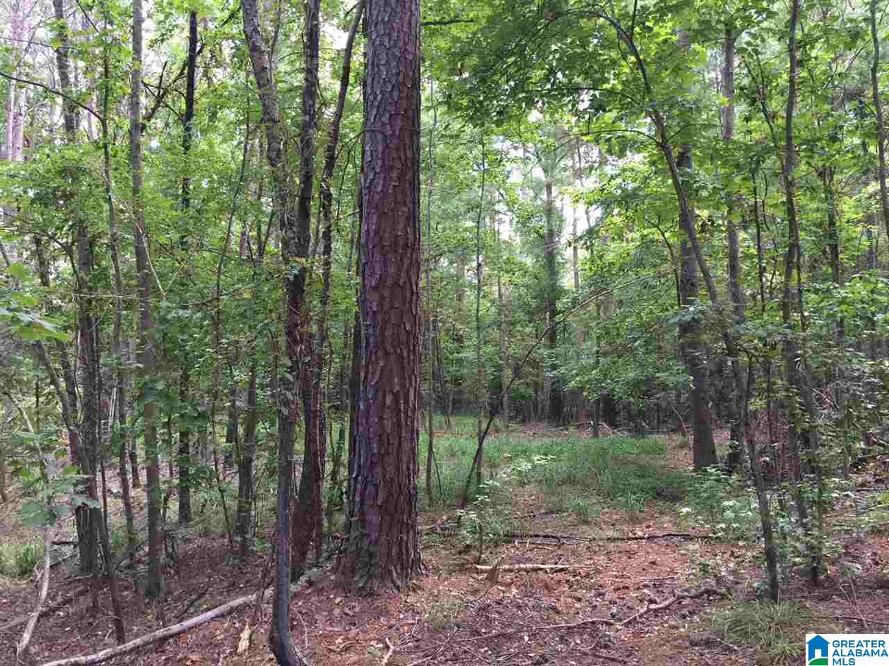 2364 Grants Mill Road Birmingham, AL 35210 - Photo 14 of 17
