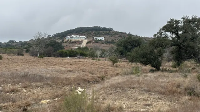 a view of a dry yard