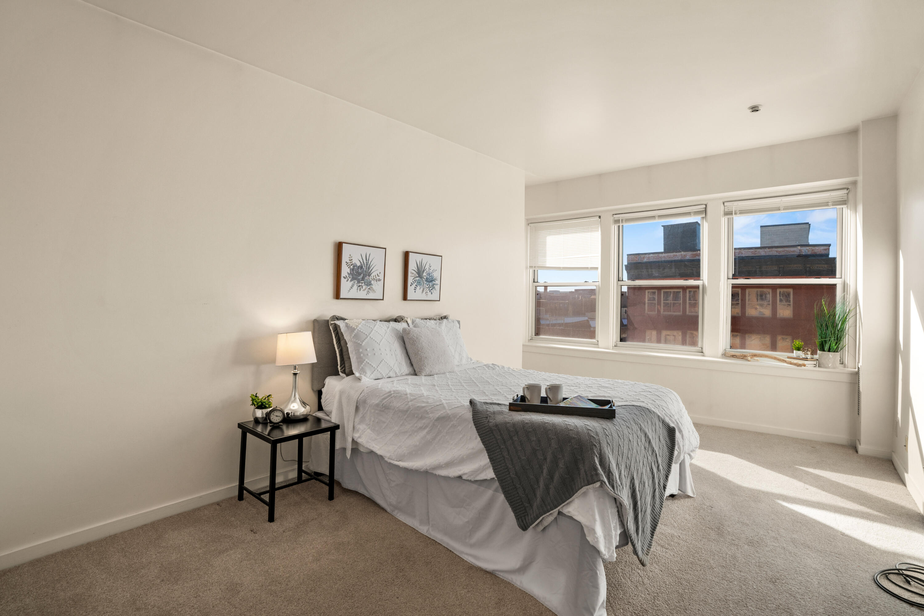 234 North Broadway, Unit 608 Milwaukee, WI 53202 - Photo 5 of 25 Lg Bedrm West Windows