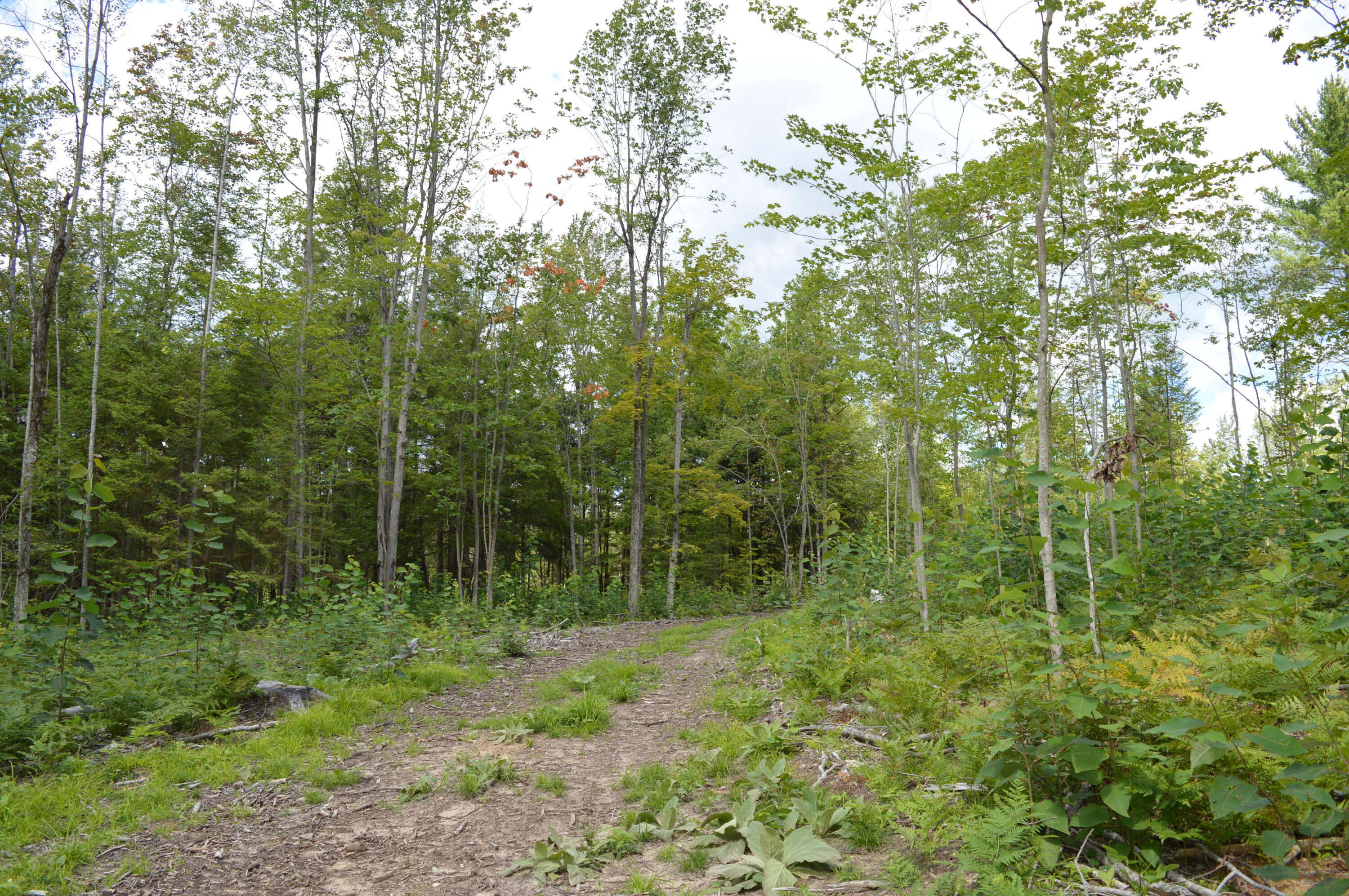 East County Line Road South Branch, MI 48761 - Photo 71 of 87 Gallery Image 71
