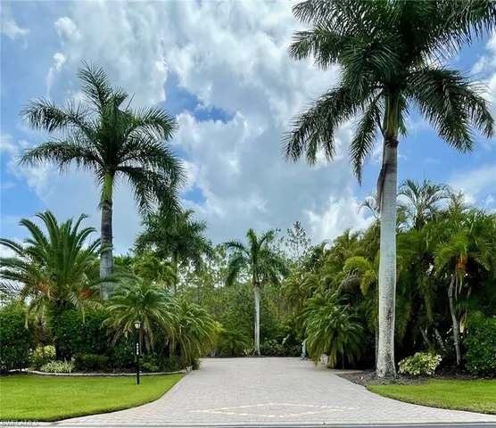a couple of palm trees sitting in a yard with swimming pool