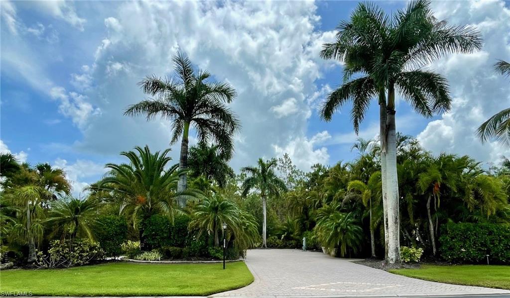 4928 Coach Lane Naples, FL 34114 - Photo 2 of 20 a palm tree sitting in a yard with a potted plants and palm trees