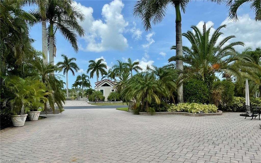 4928 Coach Lane Naples, FL 34114 - Photo 6 of 20 a palm tree sitting in front of a building with potted plants