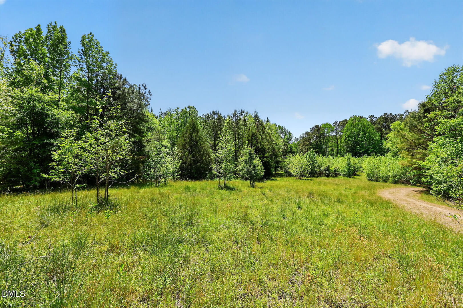 2629 Dyking Road Kittrell, NC 27544 - Photo 60 of 64 017_IMG_3415