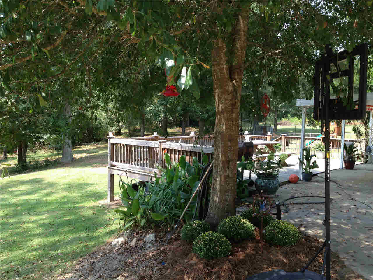 102 North Scr 29 Mize, MS 39116 - Photo 2 of 2 Beautiful yard