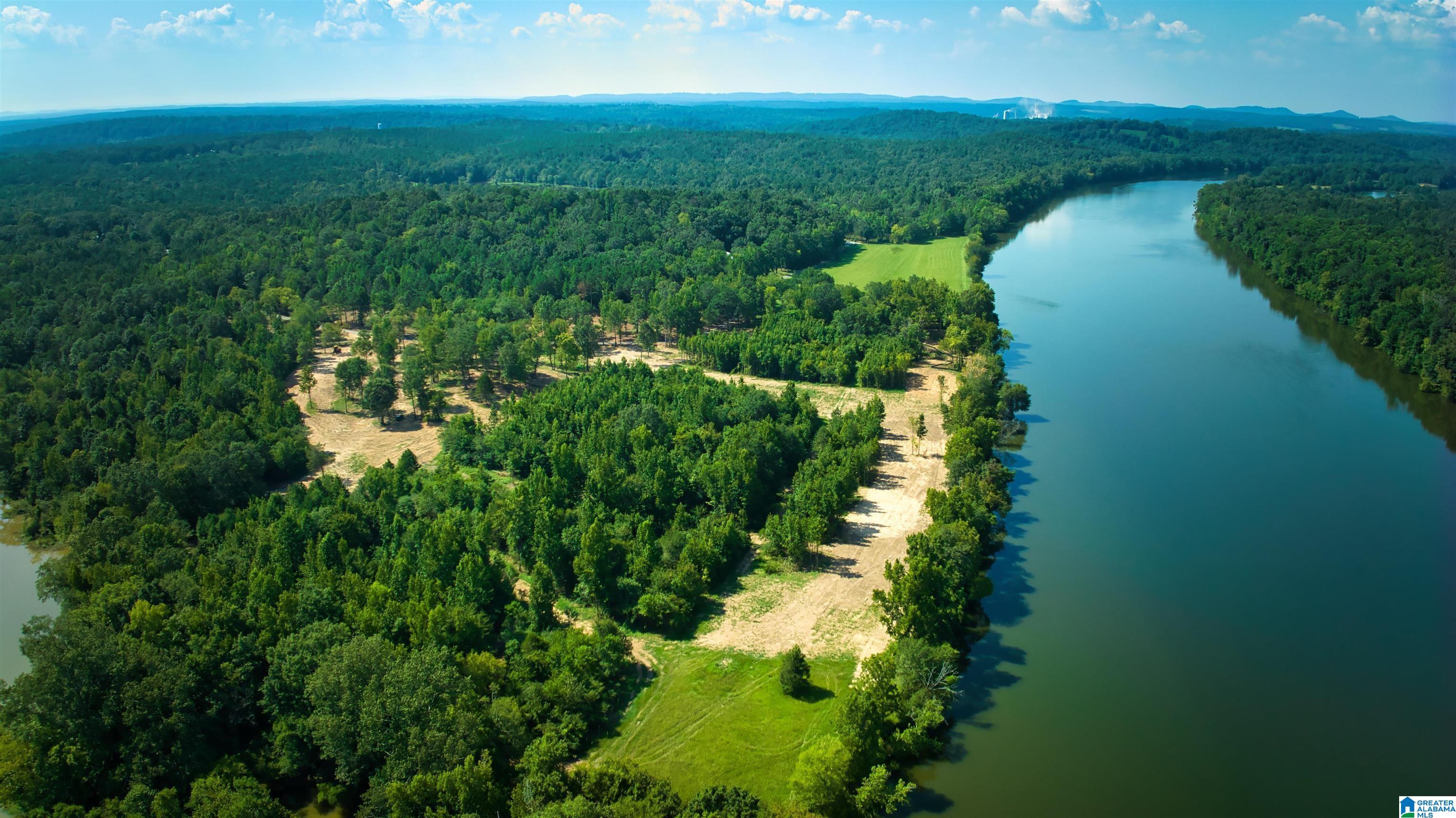 Lot 3 Woods Bend Road, Unit LOT 3 Ragland, AL 35131 - Photo 7 of 9