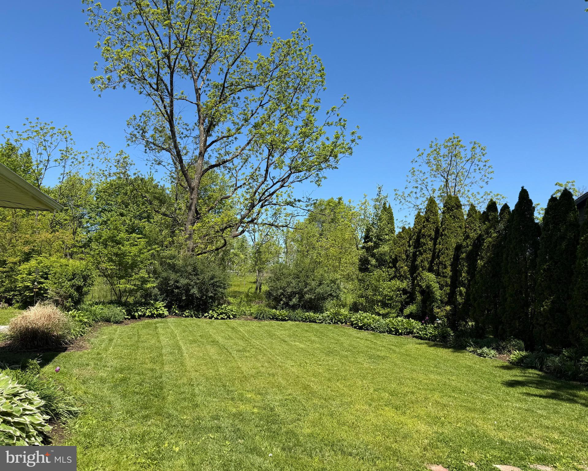 5723 Silo Hill Road Doylestown, PA 18902 - Photo 5 of 67 Backyard