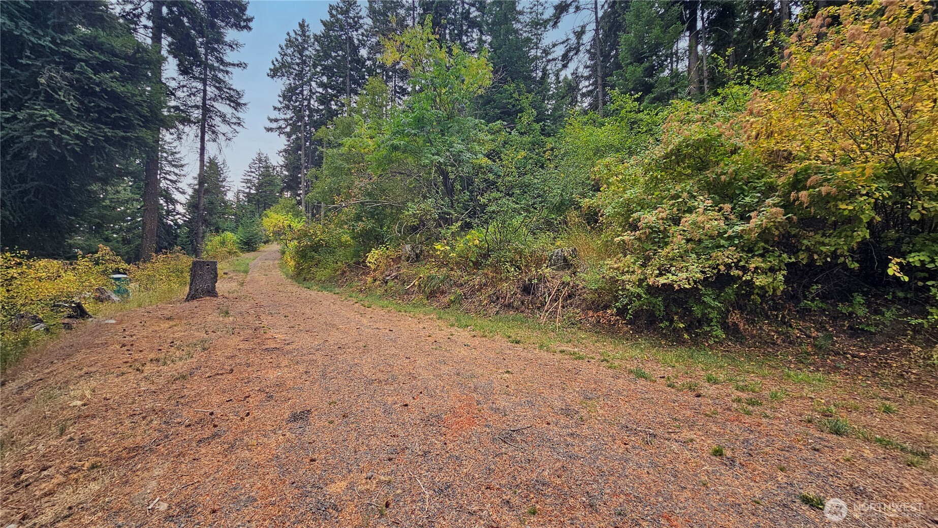 78 Skull Springs Road Cle Elum, WA 98922 - Photo 4 of 25