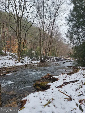 a view of a water fountain with large trees