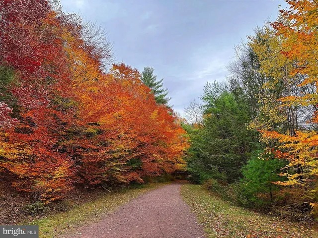 a view of outdoor space and yard