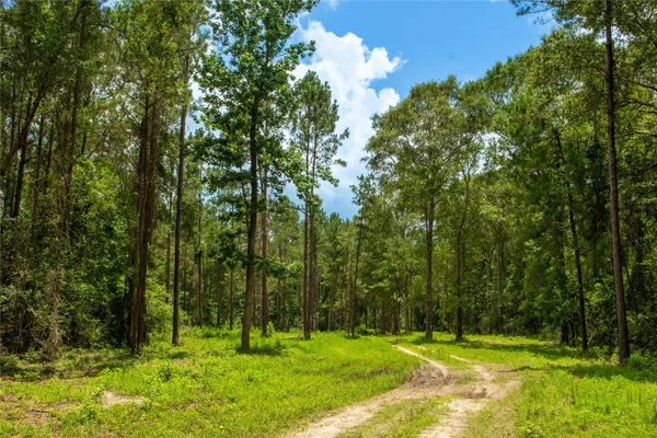 $435,000 | 0 County Road 547, Call, TX 75933