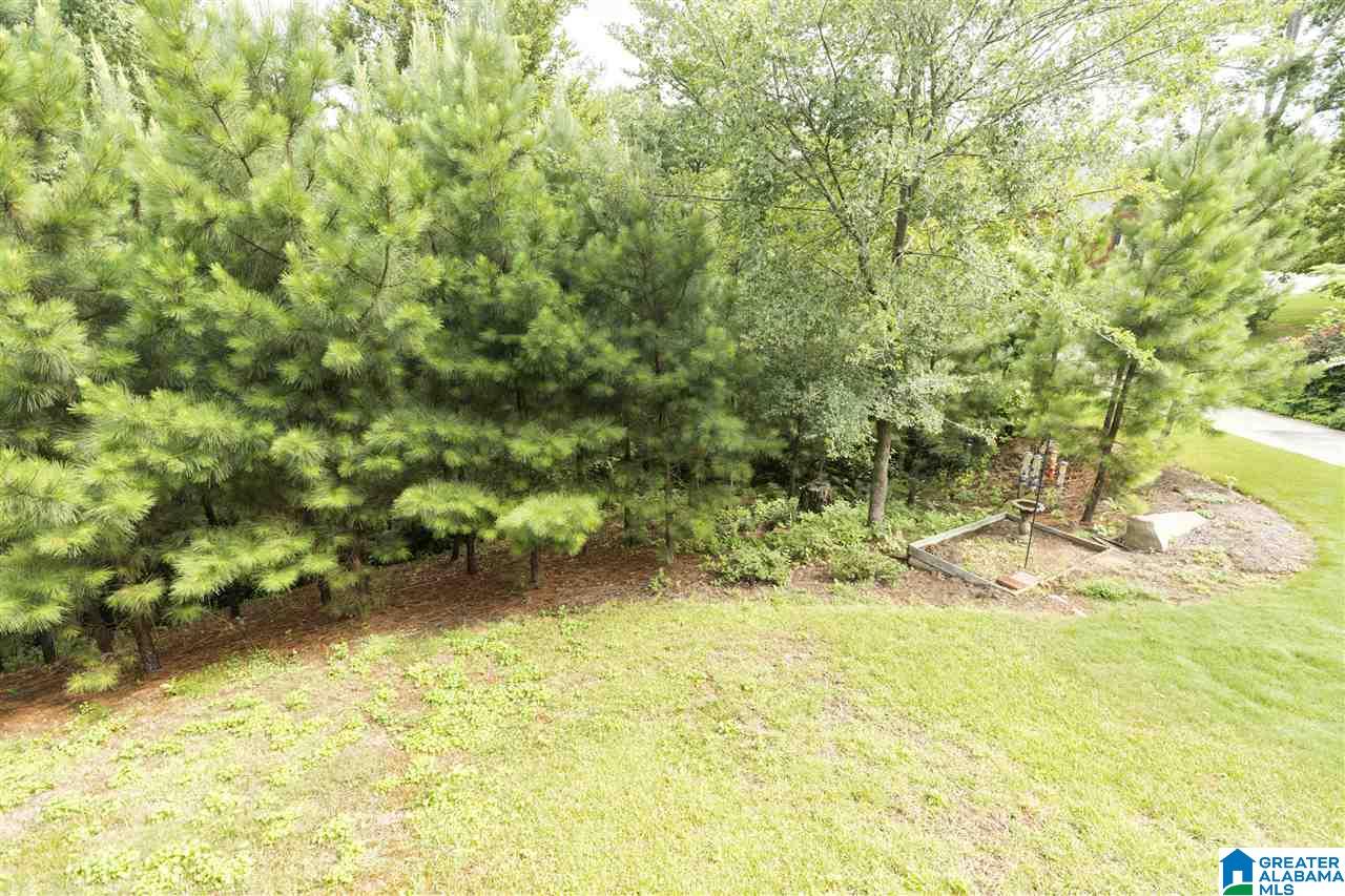 230 Benson Road Gardendale, AL 35071 - Photo 8 of 37