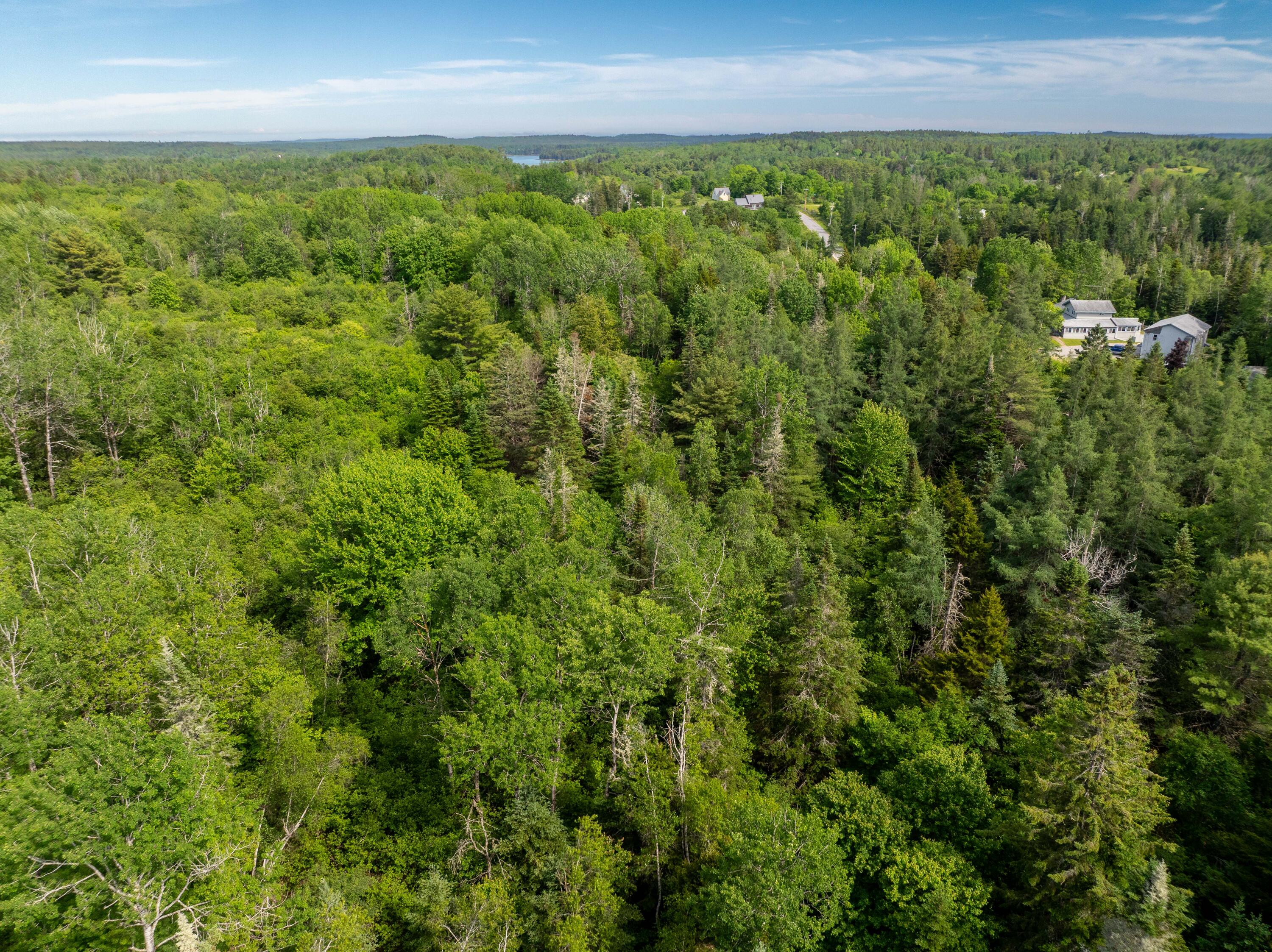 Lot #28 Station Road Jonesboro, ME 04648 - Photo 12 of 26 6-17-26 Station Rd Lot Jonesboro (14 of