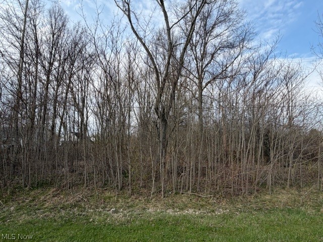 Cooley Road Columbia Station, OH 44028 - Photo 3 of 5 Gallery Image 3