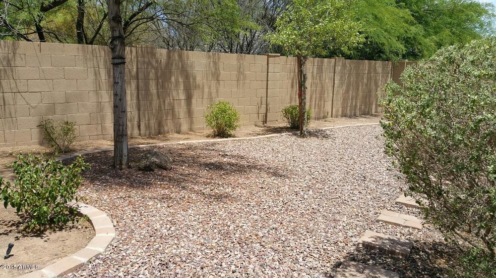 43680 West Magnolia Road Maricopa, AZ 85138 - Photo 23 of 30 Backyard 3