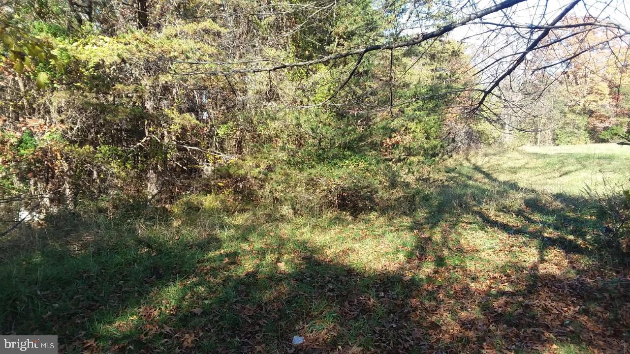 674 Frytown Road Warrenton, VA 20186 - Photo 11 of 13