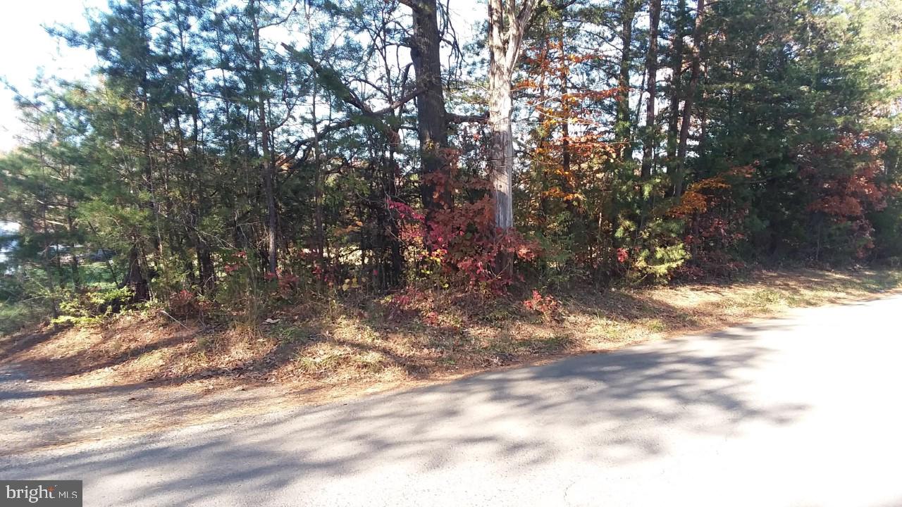 674 Frytown Road Warrenton, VA 20186 - Photo 5 of 13