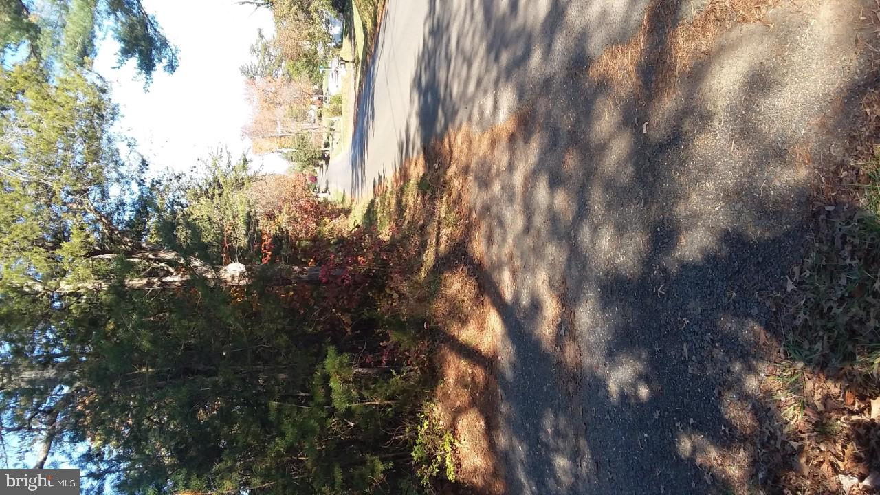 674 Frytown Road Warrenton, VA 20186 - Photo 6 of 13