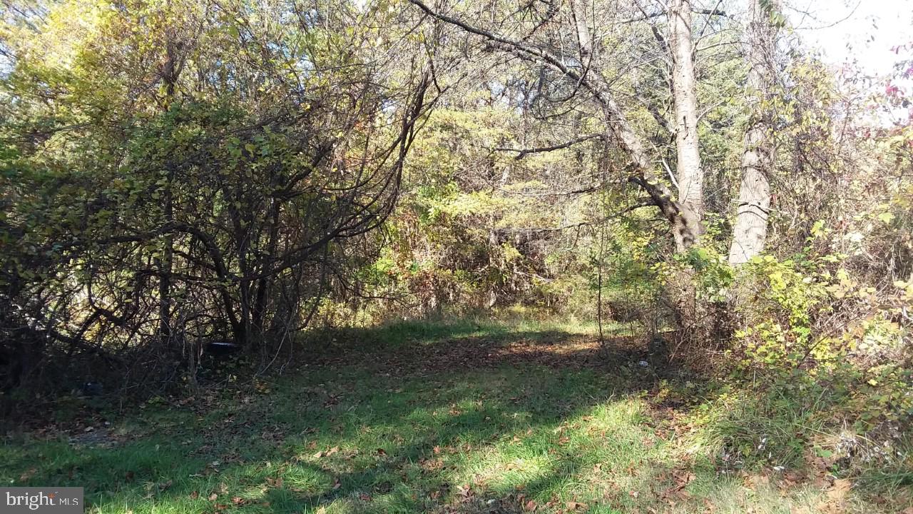 674 Frytown Road Warrenton, VA 20186 - Photo 10 of 13