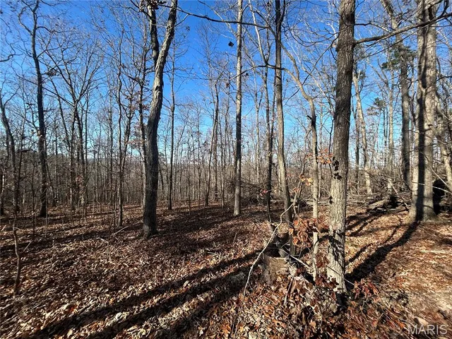 $86,595 | 305 Madison Street, Fredericktown, MO 63645