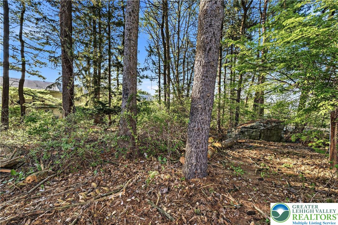 1319 Overlook Road Whitehall, PA 18052 - Photo 43 of 43 Wooded area is part of property