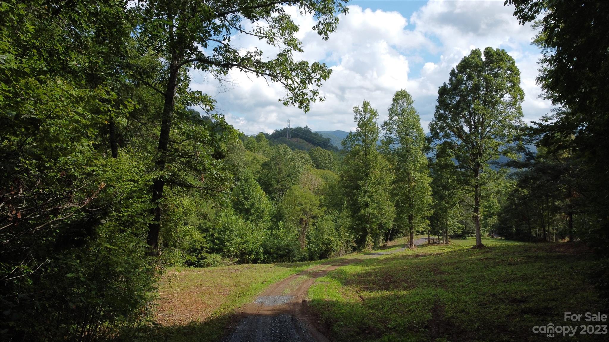 1 Moody Bridge Road Cullowhee, NC 28723 - Photo 13 of 21 a view of a golf course with a garden