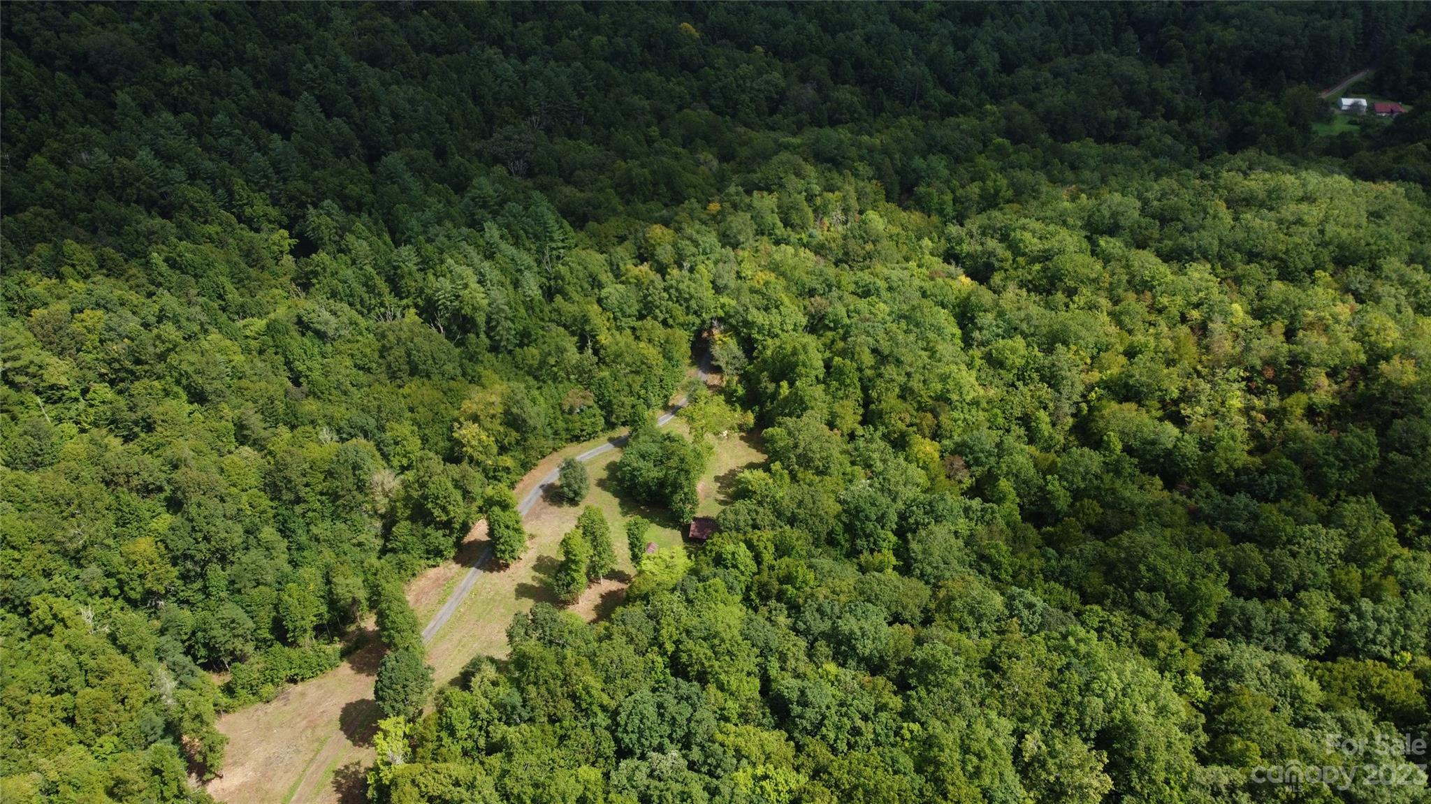 1 Moody Bridge Road Cullowhee, NC 28723 - Photo 3 of 21 a view of a forest with a tree