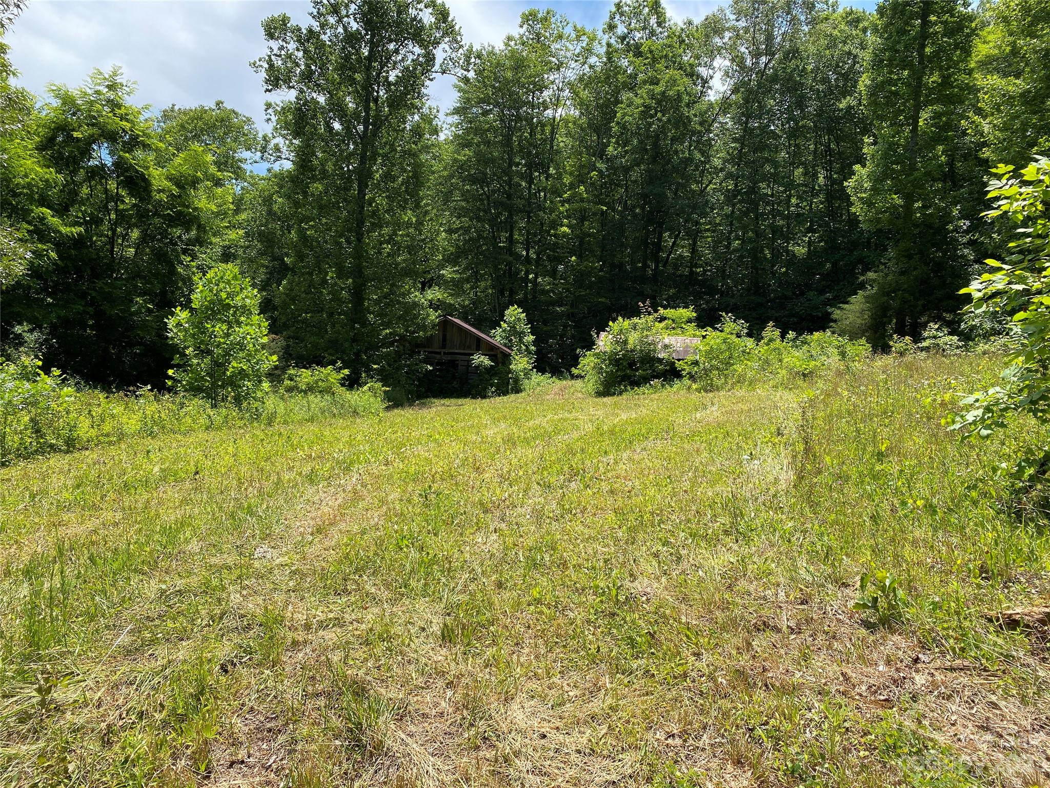1 Moody Bridge Road Cullowhee, NC 28723 - Photo 5 of 21 a view of a garden with plants and large trees