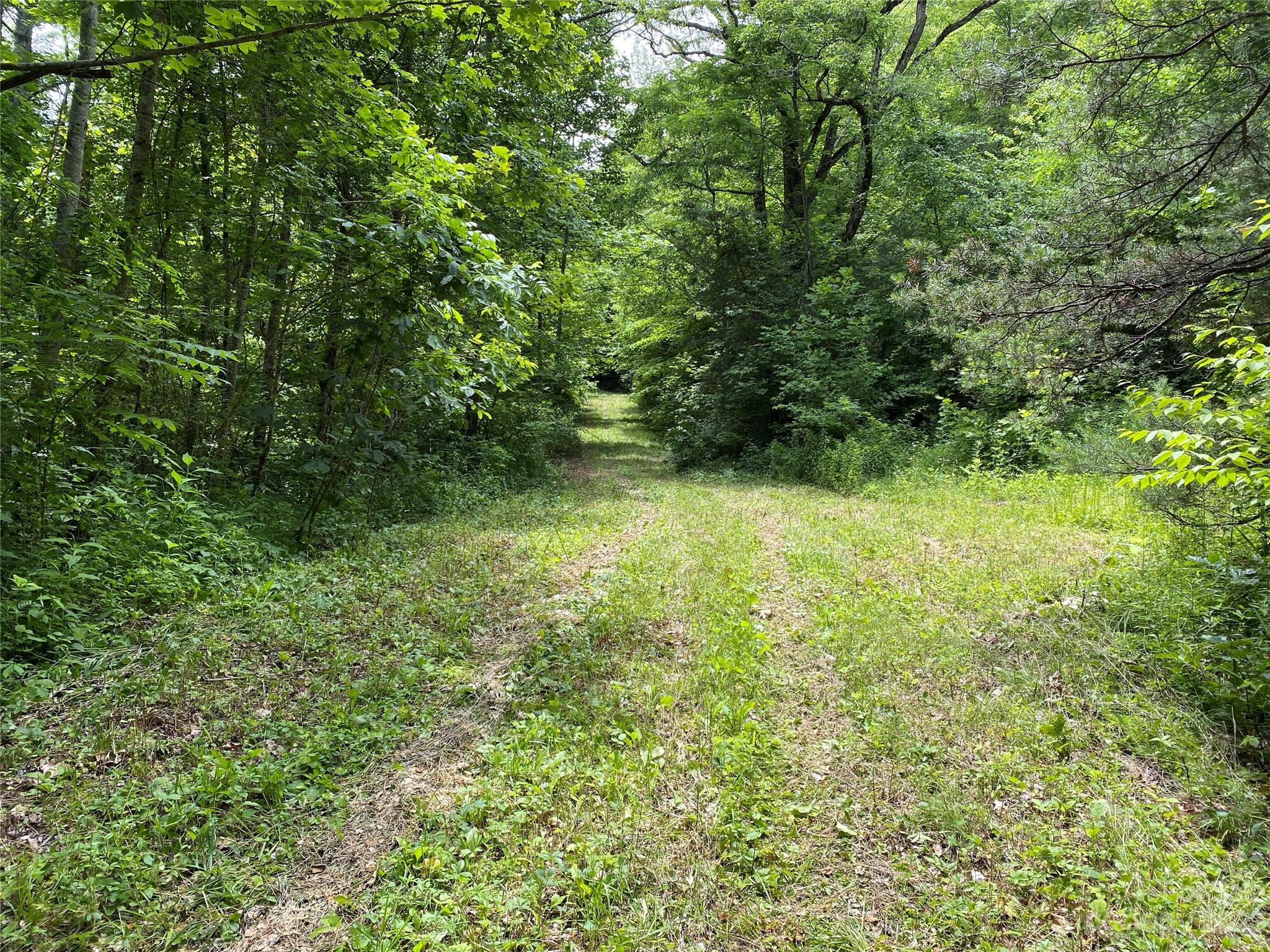 1 Moody Bridge Road Cullowhee, NC 28723 - Photo 8 of 21 a view of a garden