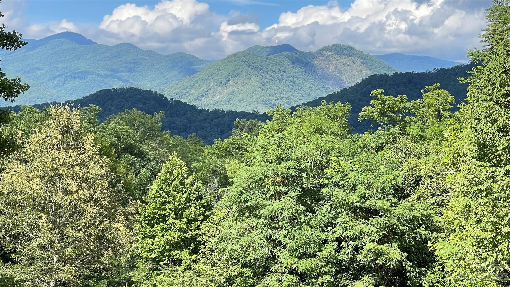 1 Moody Bridge Road Cullowhee, NC 28723 - Photo 9 of 21 a view of a bunch of flowers in a yard