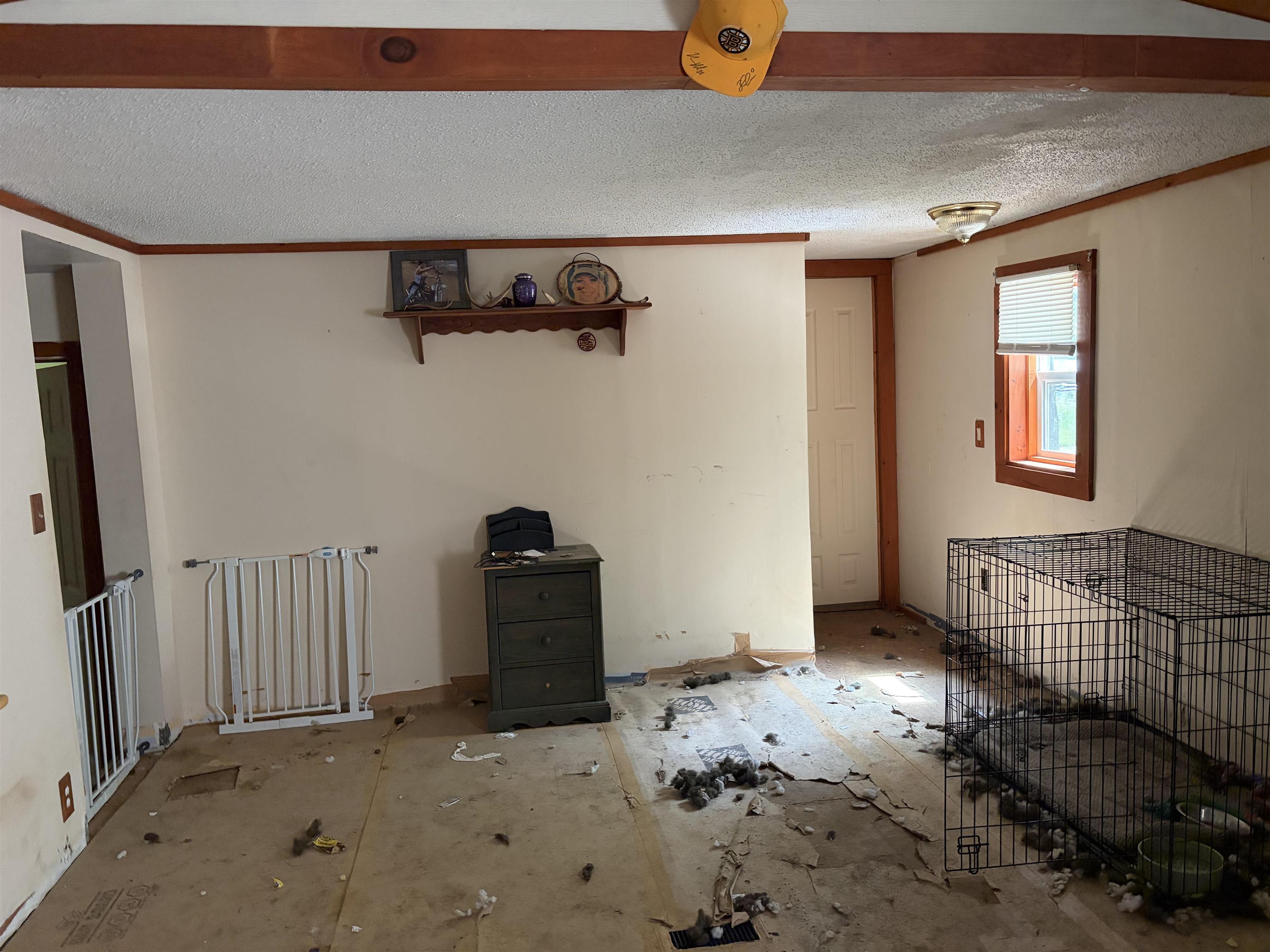 47 Gray Road Barnstead, NH 03218 - Photo 6 of 13