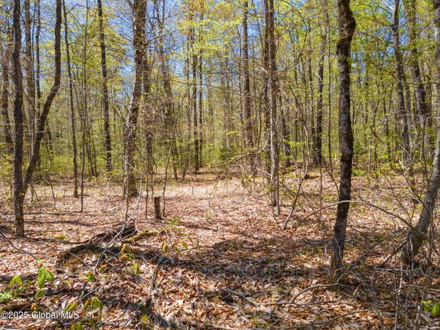 $375,000 | 194 Morrisville Road, Jefferson, NY 12093