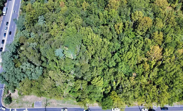 a view of a yard with a tree