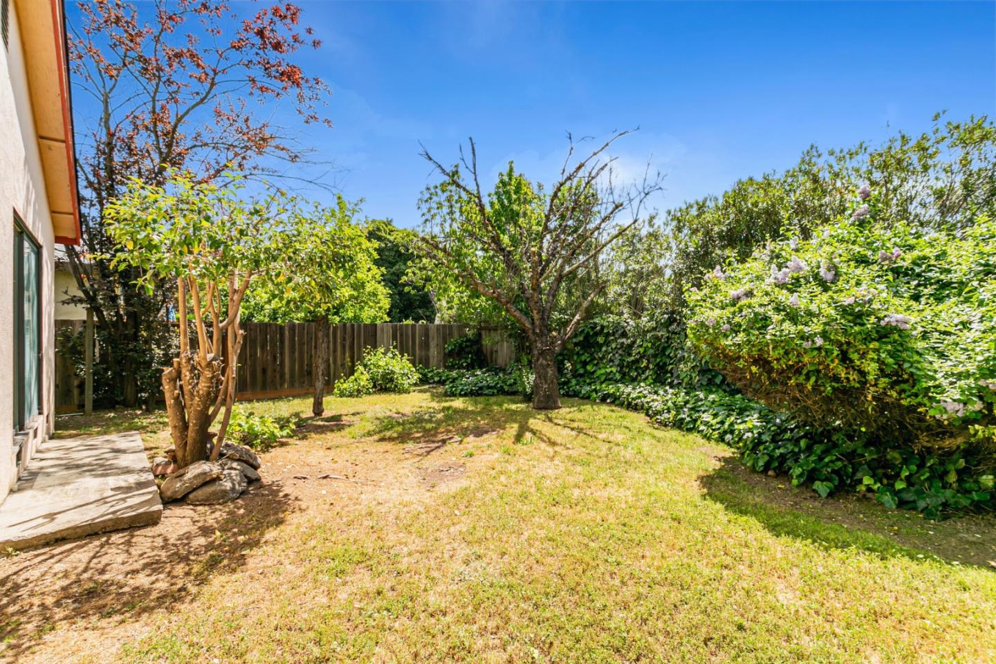 970 Ortega Circle Gilroy, CA 95020 - Photo 24 of 26 a view of a yard with plants and tree