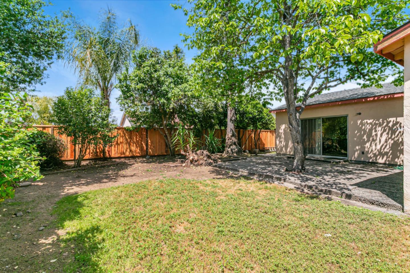 970 Ortega Circle Gilroy, CA 95020 - Photo 25 of 26 a view of a yard with plants and large trees