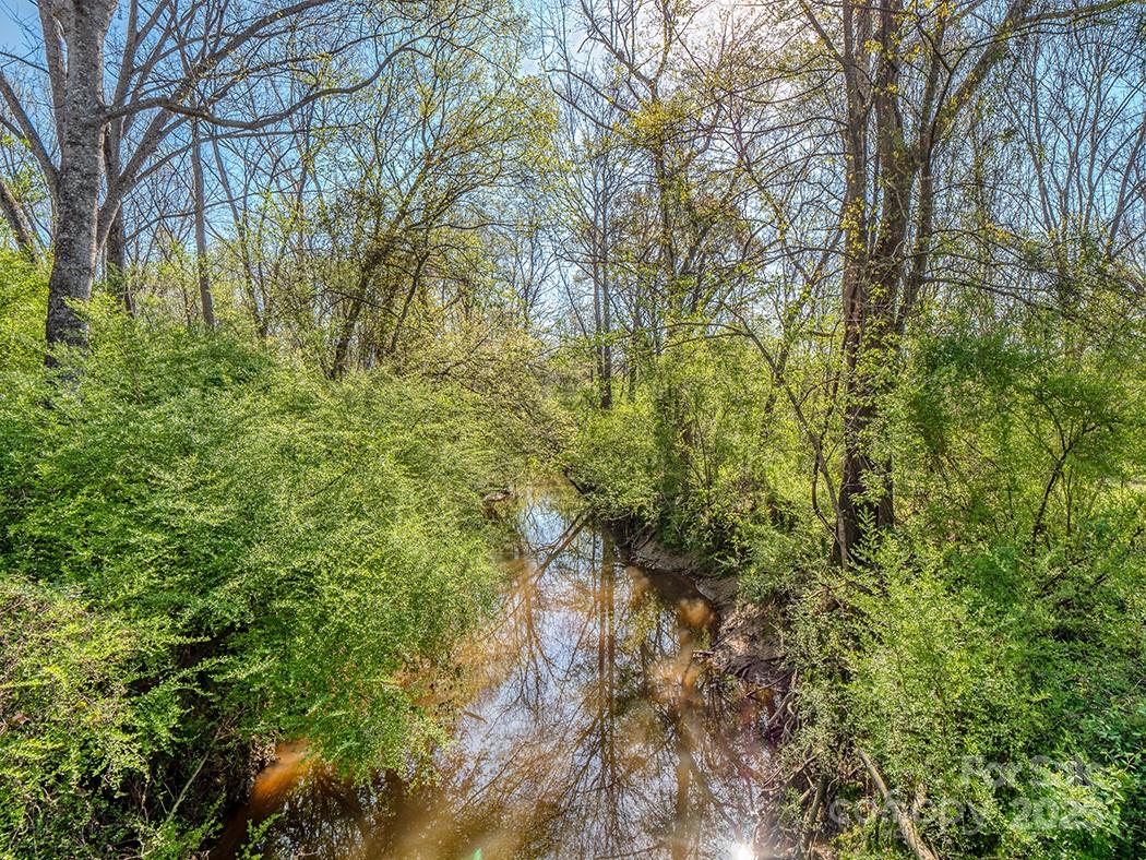 319 Connor Street Lancaster, SC 29720 - Photo 38 of 47 a view of a yard with plants and trees