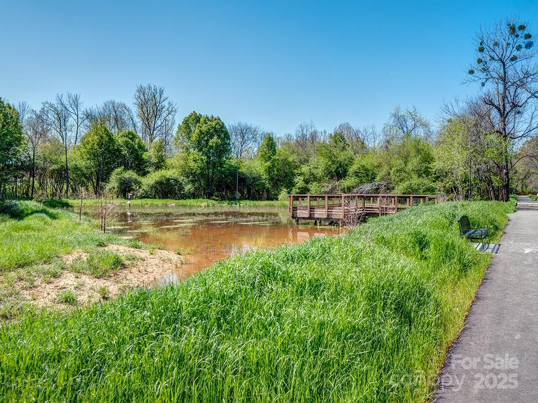 319 Connor Street Lancaster, SC 29720 - Photo 41 of 47 a view of a water pond with green yard