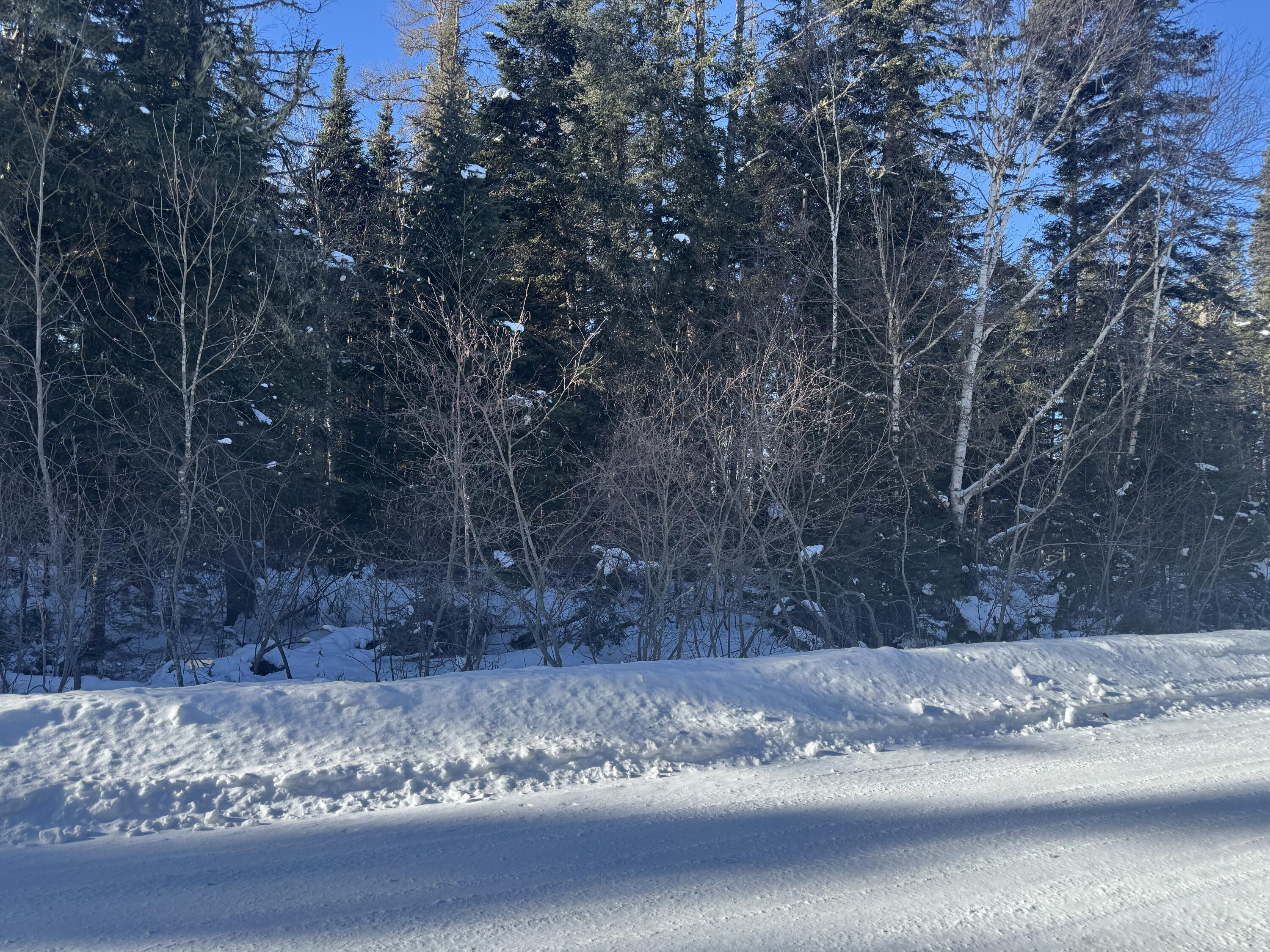 87.5-87.6 Dubay Pit Road Caribou, ME 04736 - Photo 13 of 14