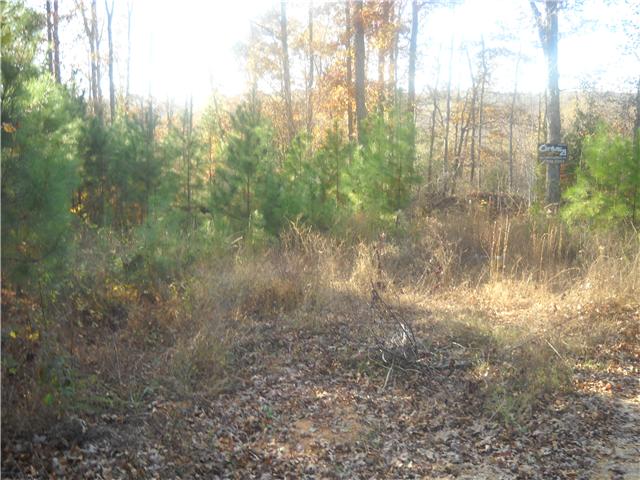 0 Trace Creek Road Lyles, TN 37098 - Photo 3 of 4