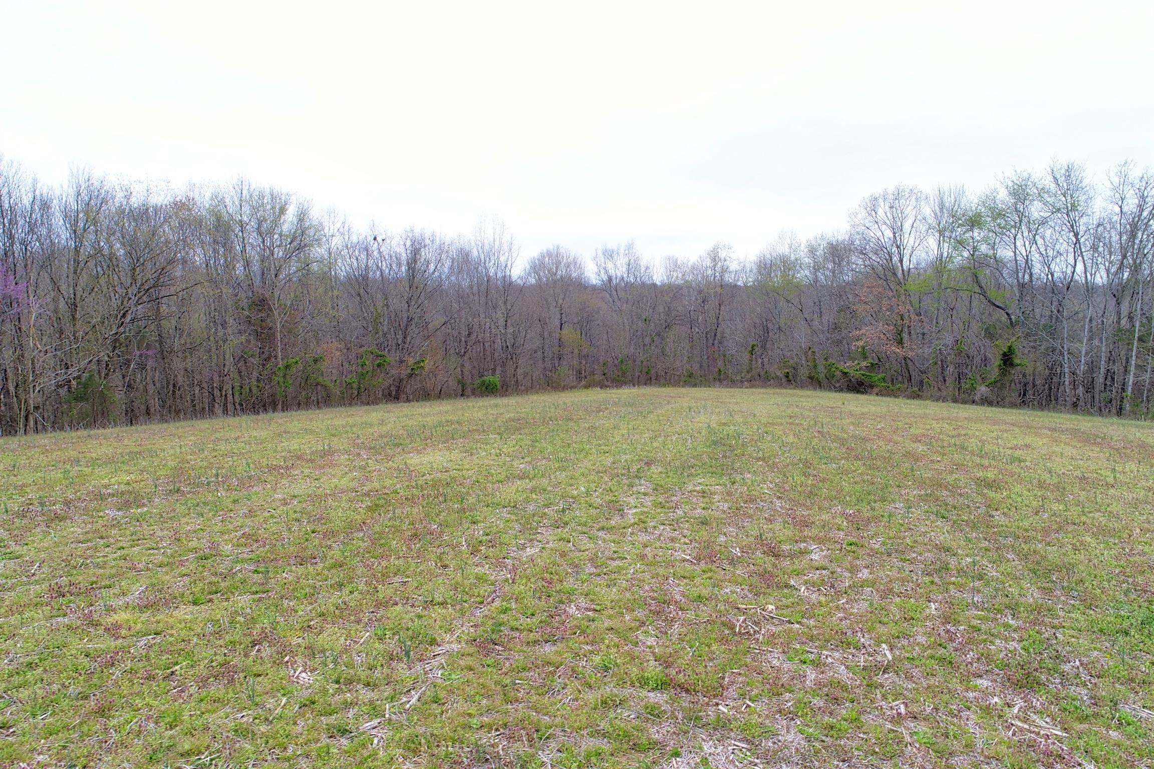 0 Horseshoe Road Cottontown, TN 37048 - Photo 3 of 3 Gallery Image 3