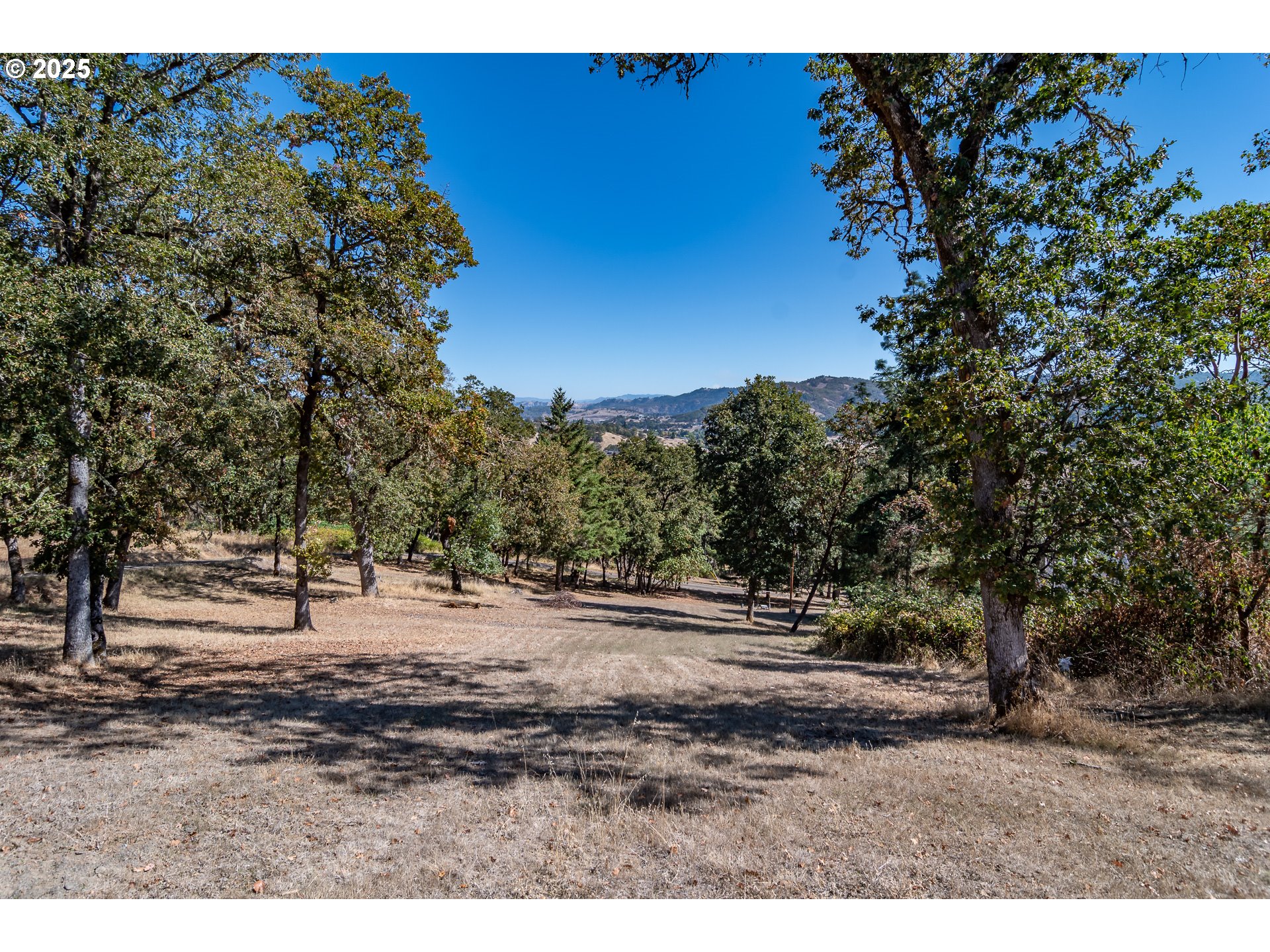 237 Country Lane Roseburg, OR 97471 - Photo 11 of 48