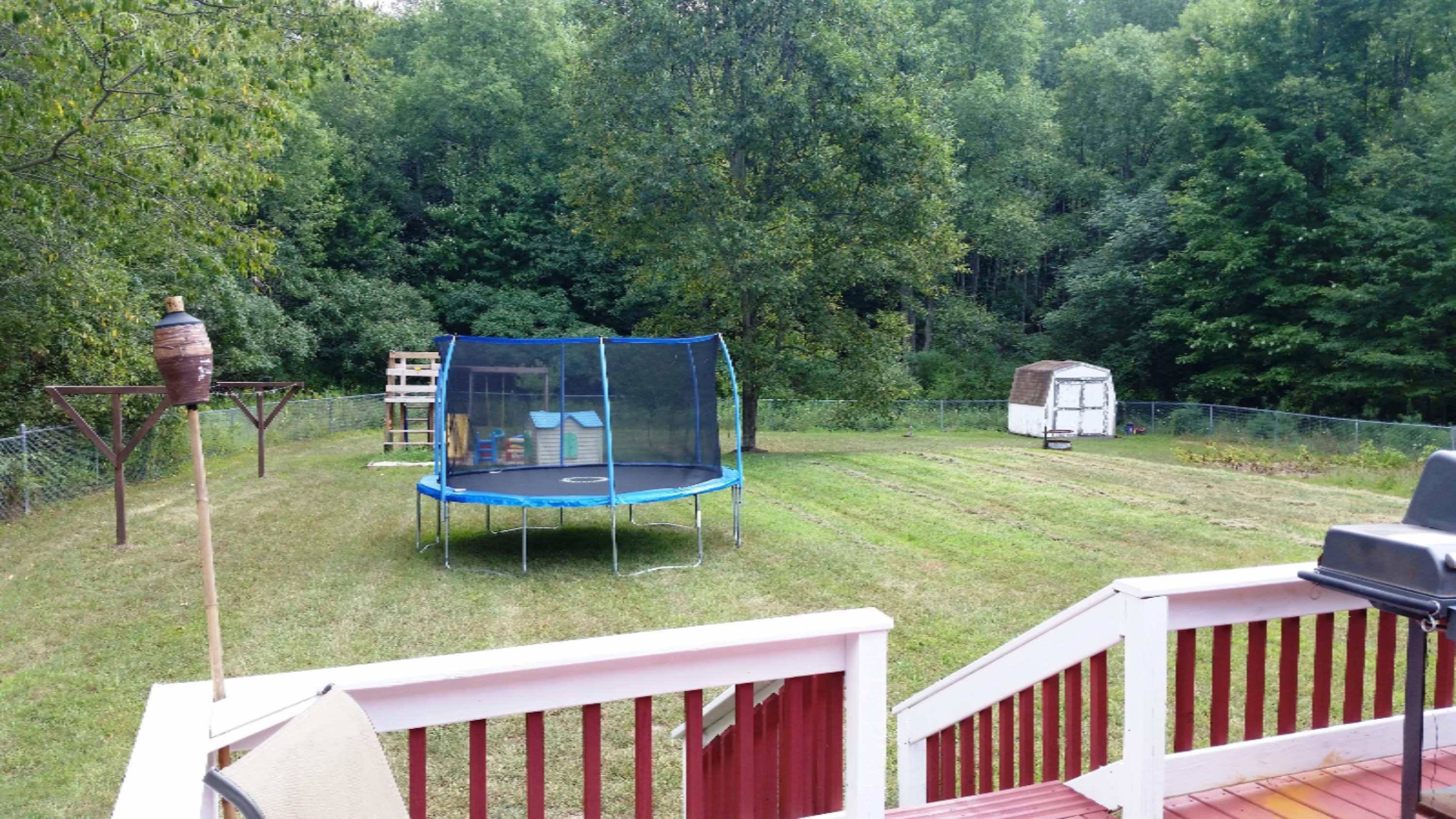 5086 North Maple Island Road Hesperia, MI 49421 - Photo 33 of 40 2015-08-17 13.49.25