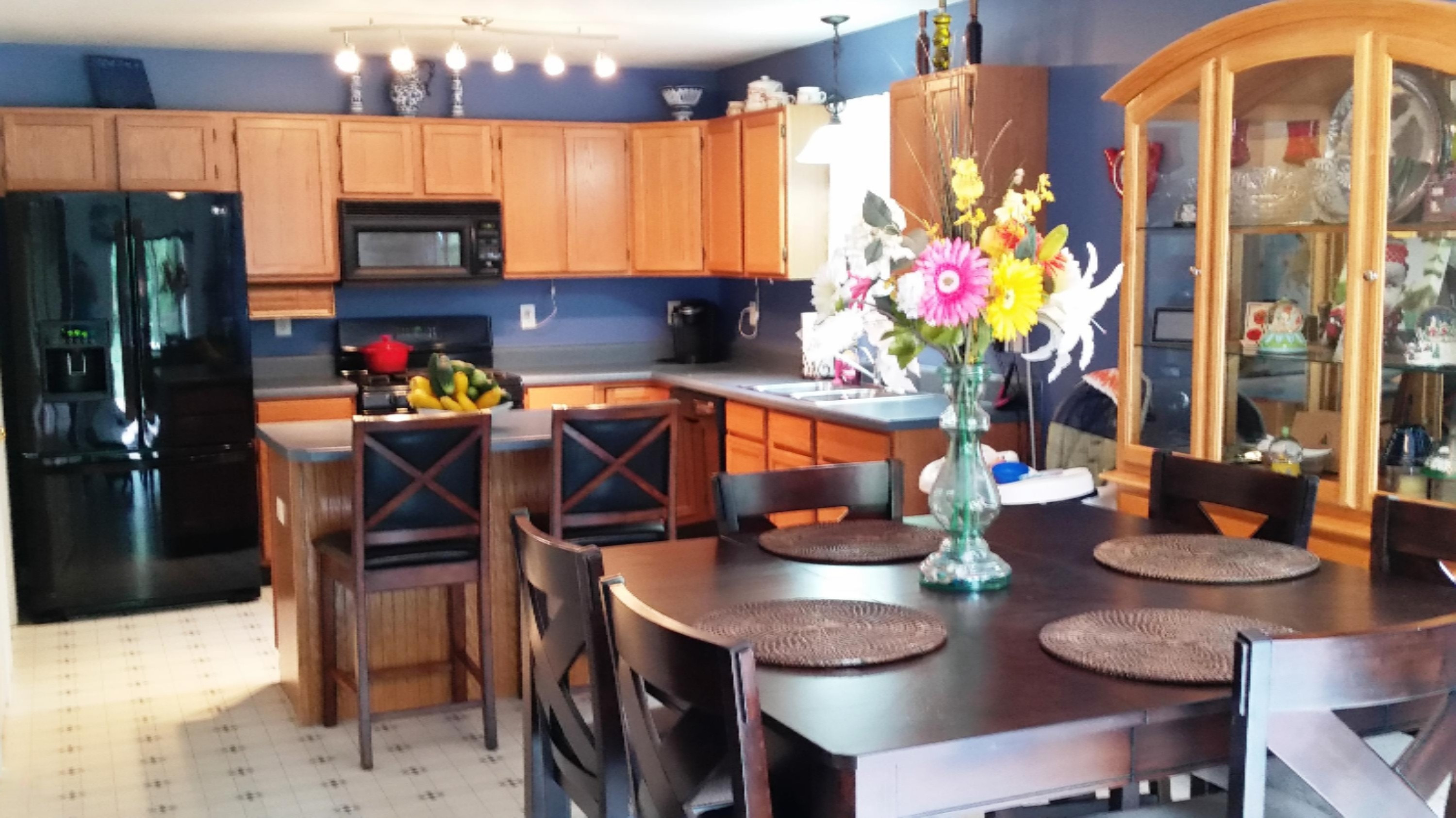 5086 North Maple Island Road Hesperia, MI 49421 - Photo 9 of 40 2015-08-17 13.36.21