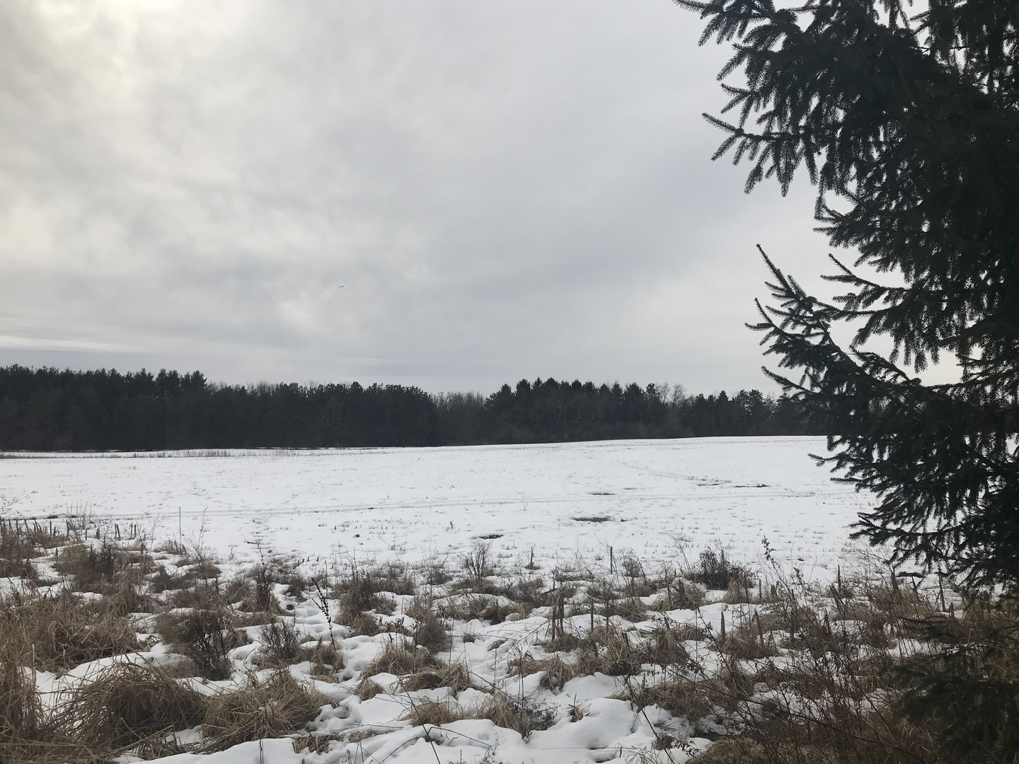 Lot 2 Pringle Drive Marengo, IL 60152 - Photo 3 of 3 a view of lake and mountain
