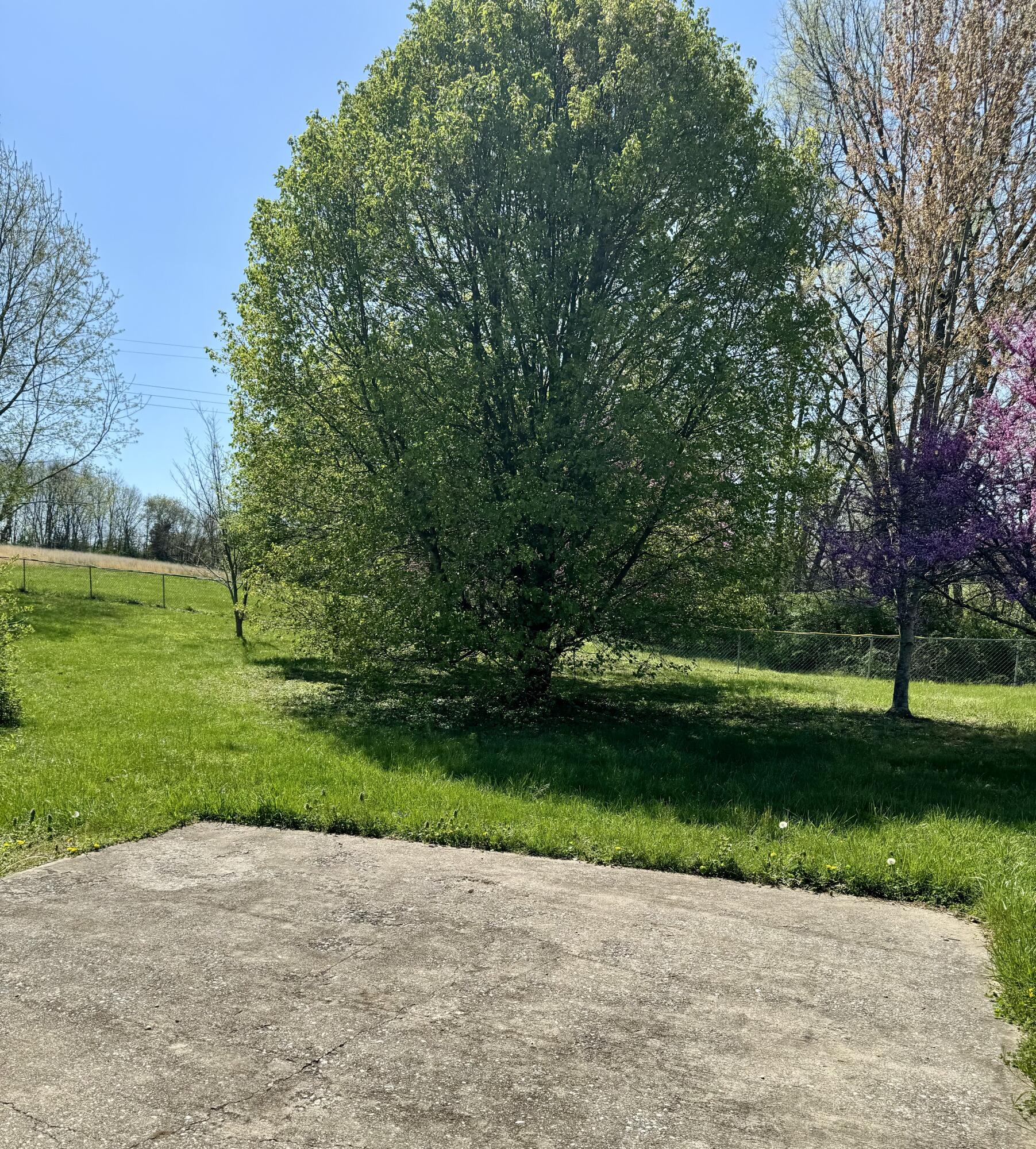 107 Tanyard Branch Road Lancaster, KY 40444 - Photo 24 of 69 IMG_3780