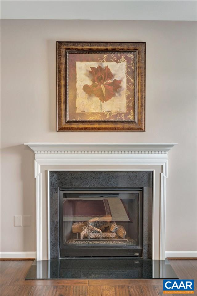 365 Ridgemont Road Ruckersville, VA 22968 - Photo 17 of 50 a view of a fireplace