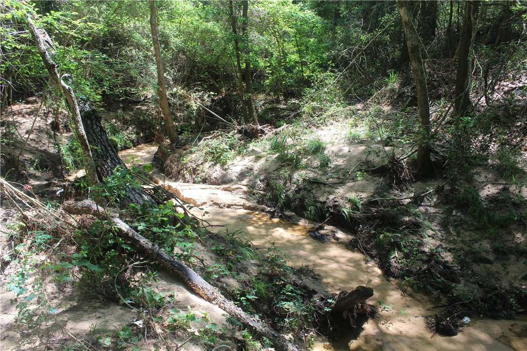 0 Rolling Hills Road Navasota, TX 77868 - Photo 11 of 18 a view of tree