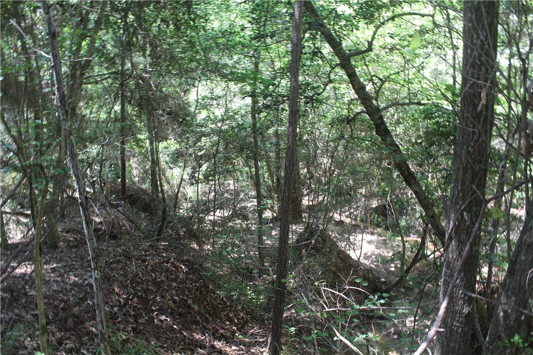 0 Rolling Hills Road Navasota, TX 77868 - Photo 10 of 18 a view of forest