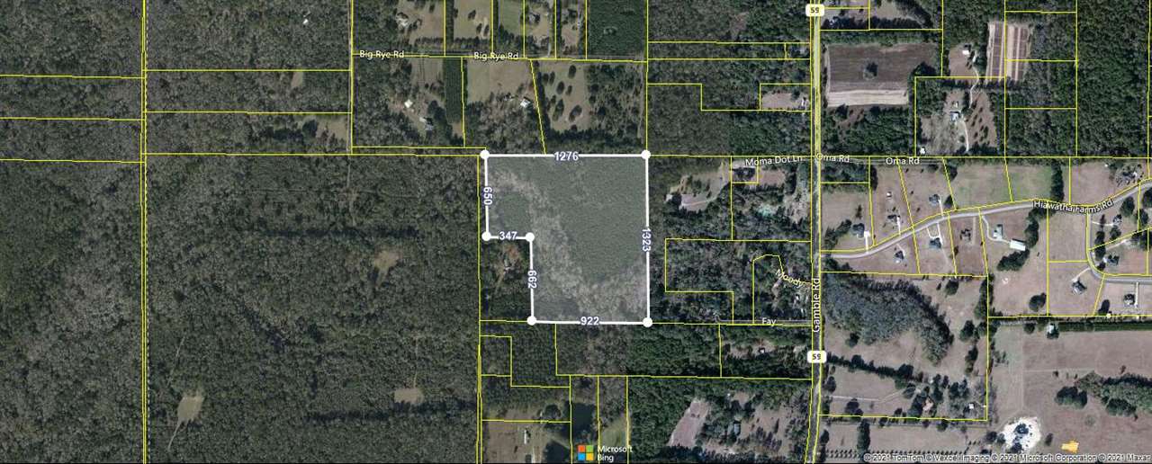 Old Tung Grove Road Monticello, FL 32344 - Photo 1 of 2 Gallery Image 1